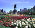 Flowers in Boston Public Garden - Boston Public Garden Flower Boston, MA Travel Photography