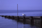 Gulls on the jetty - Old Saybrook Travel Photography