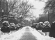 Snow covered Public Garden - Boston, MA Travel Photography