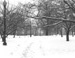 Snow covered Boston Common - Boston, MA Travel Photography